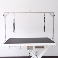 LZ Grandes tables de toilettage électriques à chaud pour chiens avec prise Table de toilettage pour chiens à vendre Groomer Pet Salon Pet Shop 1pcs