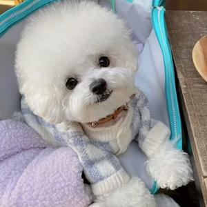 Gran oferta suéter a cuadros azul a cuadros cárdigan Otoño Invierno cálido pequeño mediano perro suéter mascota cálido - Product Image 3