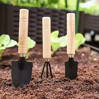 3 pcs Garden Hand Tools Set petits outils pour femmes mini pelle à manche en bois Bonsai kit metal Head Tools Household