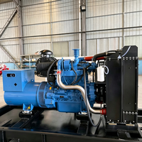 Générateur diesel à châssis ouvert de couleur personnalisée avec ATS et alternateur 100 % cuivre pour les acheteurs étrangers