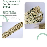Vente en gros de fournitures de jardin d'intérieur Poteaux de support de plantes en mousse de tourbe de sphaigne pour orchidée Monstera grimpante pour orchidées Plantes d'intérieur