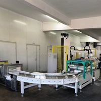 Palettiseur de bouteille d'empilage de palletisation de Robot de bras à grande vitesse Palettiseur de colonne automatique pour le carton/cas/boîte/sac