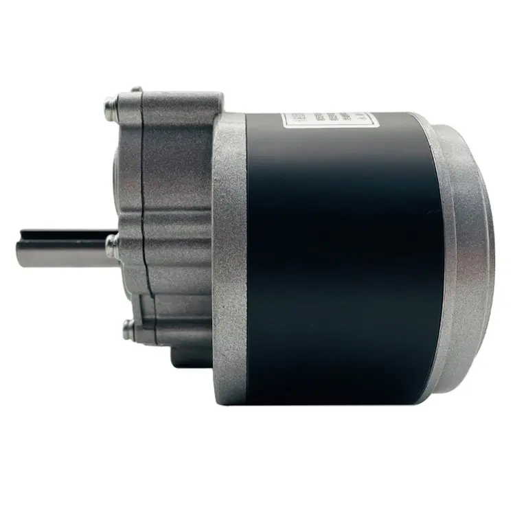 24V 250W Large Power High Quality Rated Speed 300 RPM Gear Motor With 12 Multiple Pole Scooter Motor