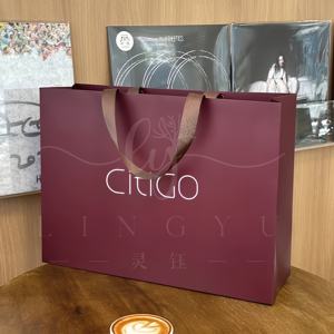 Emballage de <span class=keywords><strong>sac</strong></span> en papier kraft de luxe recyclable avec logo imprimé personnalisé <span class=keywords><strong>sac</strong></span> en papier avec poignée de magasinage de cadeau de vêtement imprimé avec logo - Product Image 2