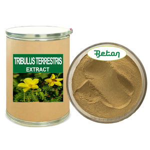有機純粋天然非Gmoハーブ<span class=keywords><strong>Tribulus</strong></span> Terestris根エキス粉末全サポニン45% - Product Image 1