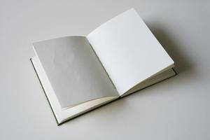 Notebook artistico personalizzato in tessuto verde legante Coptic elegante Premium - Product Image 3