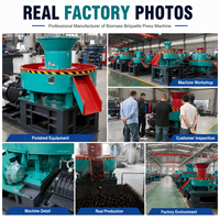 Presse à briquettes industrielle RDF pour le recyclage des déchets solides (plastique, tissu) en combustible dérivé des déchets (RDF) en cubes