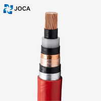 Cable de Alimentación Blindado con Aislamiento XLPE Estándar Europeo JOCA N2XSY NA2XSY para Distribución de Energía