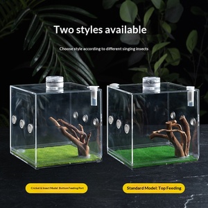 Caja de Cría de Acrílico para Insectos y Arañas con Lámpara LED y Orificios de Alimentación para Mantis, Gafanhotos, Reptiles e Insectos Cantores - Product Image 3