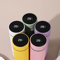 Fiole à vide isolée à double paroi en acier inoxydable Mazon très vendue logo personnalisé bouteille d'eau fantaisie Led réutilisable sans Bpa