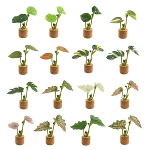2023 nuove piante artificiali magneti per frigorifero Mini foglie carine per schede magnetiche frigo Home Office Decor