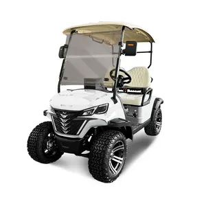 Produit à vendre populaire Kit de conversion de moteur Chariot poussoir de golf Chariot de golf électrique alimenté par batterie au lithium 2 places