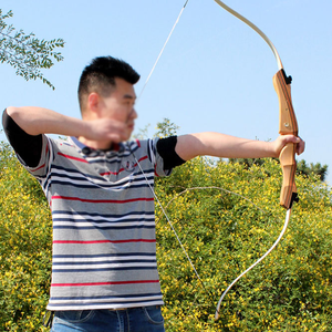 <span class=keywords><strong>Arc</strong></span> à poulies de chasse 54 et 68 pouces, <span class=keywords><strong>arc</strong></span> de tir à l'<span class=keywords><strong>arc</strong></span> pour adolescents et adultes, poids droitier et <span class=keywords><strong>gaucher</strong></span>, <span class=keywords><strong>arc</strong></span> à poulies de tir à l'<span class=keywords><strong>arc</strong></span> - Product Image 2