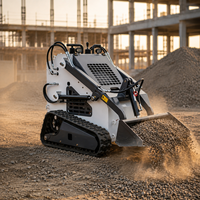 Mini-chargeuse compacte sur chenilles avec moteur diesel CE EPA, capacité de 360 kg à 380 kg, avec godet et broyeur hydraulique, directement de l'usine