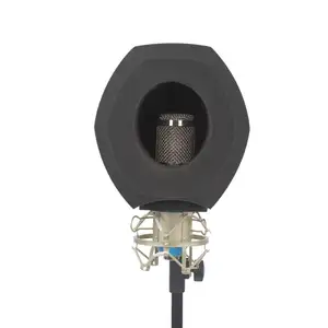 F3 thicken Professional Studio Mic windshield Acoustic Filter Vocal Microphone Wind Screen bath Noise Reduction Recording