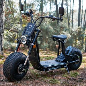 Scooter Eléctrico Citycoco de Alta Calidad de 3000w con Neumáticos Gruesos de 19 Pulgadas, Batería de Litio de 60v 26Ah, Velocidad Máxima de 60km/h - Product Image 1