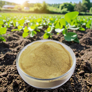 Axit amin canxi nguyên tố vi lượng phân bón nhanh chóng Canxi bổ sung ở dạng bột cho thiếu canxi - Product Image 2