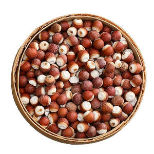 Qian Shi doğal Gorgon Euryale Semen Herb ales kurutulmuş Gorgon meyve ot baharat için - Product Image 1