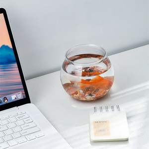 Aquarium de poissons rouges de paysage Transparent 4 tailles réservoir de tortues Aquarium matériau PET réservoir d'aquarium - Product Image 6