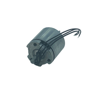 Motor CC sin escobillas 2824B de 36V con imán permanente para instrumentos cosméticos - Product Image 2