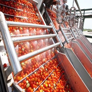 Bột Cà Chua Đóng Hộp Chất Lượng Cao <span class=keywords><strong>850G</strong></span> Lon Thiếc Rỗng Cho Cà Chua Dán Cà Chua - Product Image 5