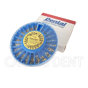 Tandheelkundige Implantaatmateriaal Wortelkanaalpennen Vergulde Tandpaalschroef/Tandheelkundig Verbruiksproduct Vergulde Gouden Schroefpalen - Product Image 4