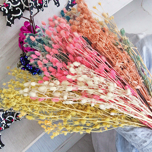 Accesorios de tiro de producción DIY, amante de las flores secas eternas, fruta, espina, apio, flores secas, Día de la madre, Navidad, respetuoso con el medio ambiente - Product Image 1