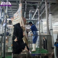 Élévateur pneumatique à poteau unique de haute qualité pour abattoir de bovins