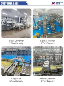 Ligne <span class=keywords><strong>de</strong></span> production <span class=keywords><strong>de</strong></span> pommes <span class=keywords><strong>de</strong></span> <span class=keywords><strong>terre</strong></span> frites pour l'usine <span class=keywords><strong>de</strong></span> fabrication Ligne <span class=keywords><strong>de</strong></span> production <span class=keywords><strong>de</strong></span> pommes <span class=keywords><strong>de</strong></span> <span class=keywords><strong>terre</strong></span> frites - Product Image 4