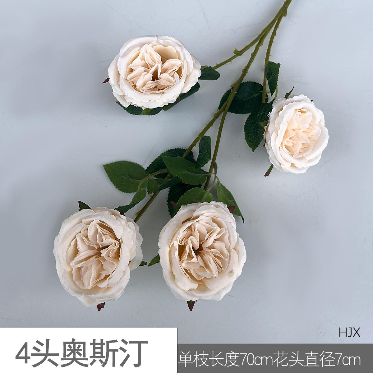 4 Heads ออสติน hjx สีแชมเปญ