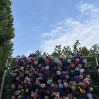 Mur de fleurs artificielles 3D en soie, rose et hortensia, multicolore, écologique, 8x8 pieds, pour décoration de mariage et événements