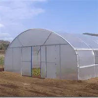 農業用シングルスパントンネル温室ローリングベンチトマト温室トンネル温室
