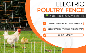 ตาข่ายรั้วไฟฟ้าโพลีเอทิลีนไฮดรอยด์ (HDPE) สำหรับสัตว์ปีก แพะ แกะ |   รั้วกั้นปศุสัตว์แบบพกพา เป็นมิตรกับสิ่งแวดล้อมและทนทานต่อรังสียูวี - Product Image 5