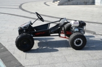 Nuevo ATICOL LP-01C, Motor de Gasolina de 4 Tiempos y 212cc, Go-Kart con Frenos de Disco Hidráulicos, Transmisión por Cadena, Velocidad Máxima de 35 km/h, Consumo de Combustible de 3L/100km