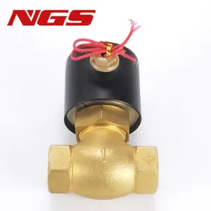 Válvula Solenoide Neumática OEM NGS de 2 Vías y 1/2 Puerto, de Latón/Acero Inoxidable, para Vapor a Alta Temperatura, con Ángulos de 08/10/15/20/25/35/40/50 Grados - Product Image 1