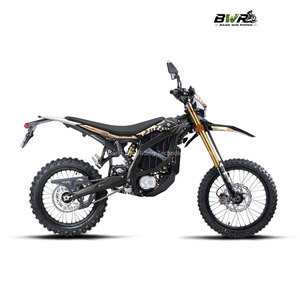 Motocicleta Eléctrica Todoterreno de Alta Velocidad 95km/h 520N.m Ultra Bee HP X - Product Image 1