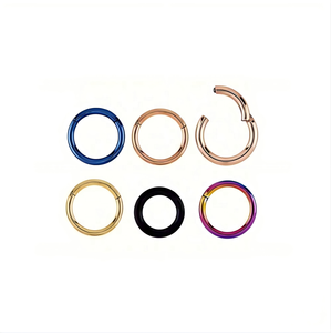 Anneau segmenté articulé en titane poli uni pour <span class=keywords><strong>piercing</strong></span> corporel, vente en gros - Product Image 1