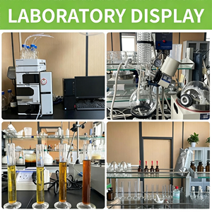 Extracto de Ginseng Rojo Coreano en Polvo, Ginsenoside 5%-80%, Extracto de Ginseng en Polvo, Extracto de Ginseng Rojo Coreano - Product Image 5