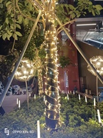 Guirlande lumineuse LED étanche IP67 10m/20m/30m/50m pour extérieur, Noël, décorative, PVC, blanc chaud, avec interrupteur