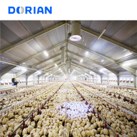 Bâtiment de tracteur agricole industriel Structure en tôle d'acier préfabriquée plans de poulailler pour 5000 poulets