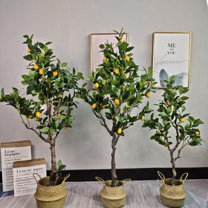 Plante artificielle de citronnier en gros avec pot, arbre fruitier simulé, décoration intérieure, bureau, bonsaï - Product Image 5