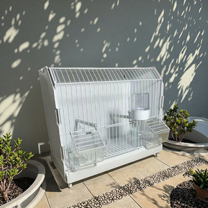 Modern stil kuş üreme kafesi Sangkar Besi Burung Parakeets kafes kuşlar ve kuş kafesleri satılık kutu ambalaj mevcut - Product Image 5