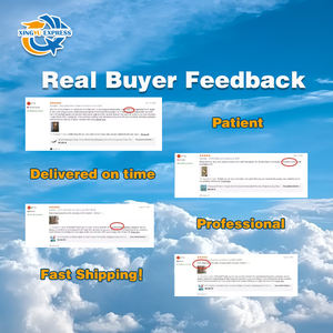 Agente de Envio DHL/UPS da China para Austrália, EUA e Europa, Agente de Envio Porta a Porta, Transporte Aéreo - Product Image 6