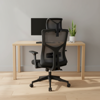 Chaise de bureau exécutive ergonomique moderne personnalisée en maille, dossier haut, support lombaire réglable, pivotante, structure en plastique chromé