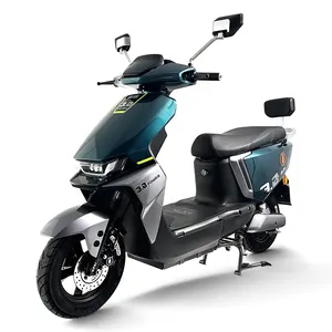 Venda por atacado de fábrica CKD bicicleta elétrica de alta velocidade motocicleta 1000W 60V off road motocicleta scooter ciclomotor elétrico