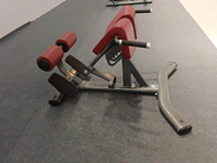 Banc réglable de chaise de Roma en métal d'équipement de gymnastique à la maison commerciale avec le cadre d'étirement arrière