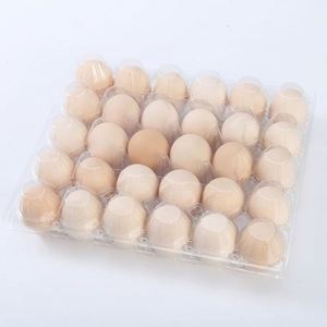 ถาดใส่ไข่พลาสติก PP ใส เกรดอาหาร 4-30 หลุม พร้อมหูหิ้ว สำหรับไข่ไก่ รับทำโลโก้ ขายส่งจากโรงงาน - Product Image 1