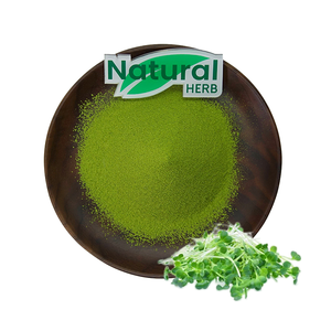 Poudre d'extrait de luzerne naturelle pure de haute qualité poudre de chlorophylle avec vitamine ingrédient actif emballage de tambour d'approvisionnement d'usine - Product Image 1