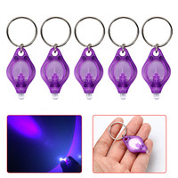Ide Produk Baru 2026 Gantungan Kunci Plastik Mini UV 365-405nm Unik, Ring Kunci Mini, Senter LED