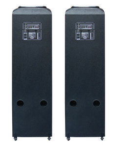 Altavoz de Karaoke OEM 2 X 12 con Pantalla LCD Grande, Altavoz Original para Fiestas con Eco y FM - Product Image 5